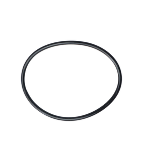 PEÇA 07 ANEL ORING INFERIOR MPP-600