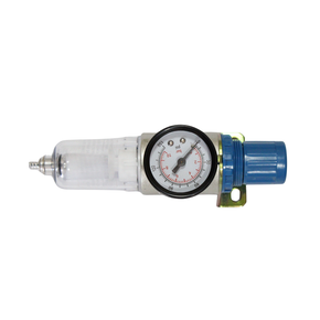 PEÇA 41 FILTRO REG1/4 CPTO NEW COPO C/ PROTEÇÃO - RAPTOR