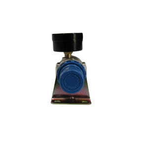 PEÇA 41 FILTRO REG1/4 CPTO NEW COPO C/ PROTEÇÃO - RAPTOR
